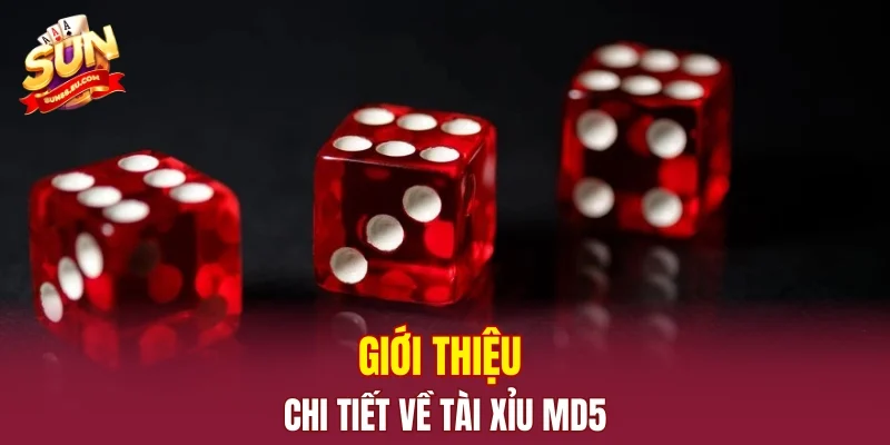 Giới thiệu chi tiết về tài xỉu MD5